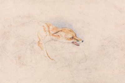 Study of a Crouching Fox, Facing Right by John Frederick Lewis